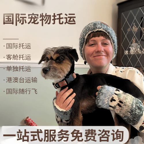 嘉义市国际宠物托运到阿根廷宠物入境规定和要