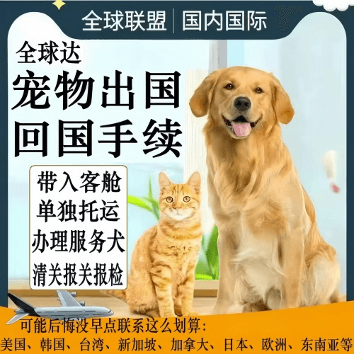 嘉义市宠物托运到柬埔寨宠物入境规定和要求
