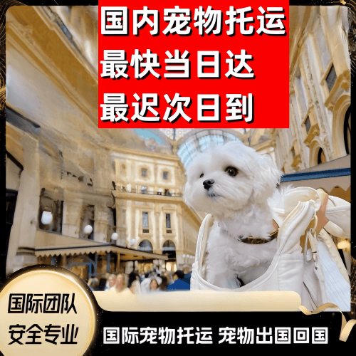 嘉义市到澳大利亚（澳洲）宠物入境规定和要求