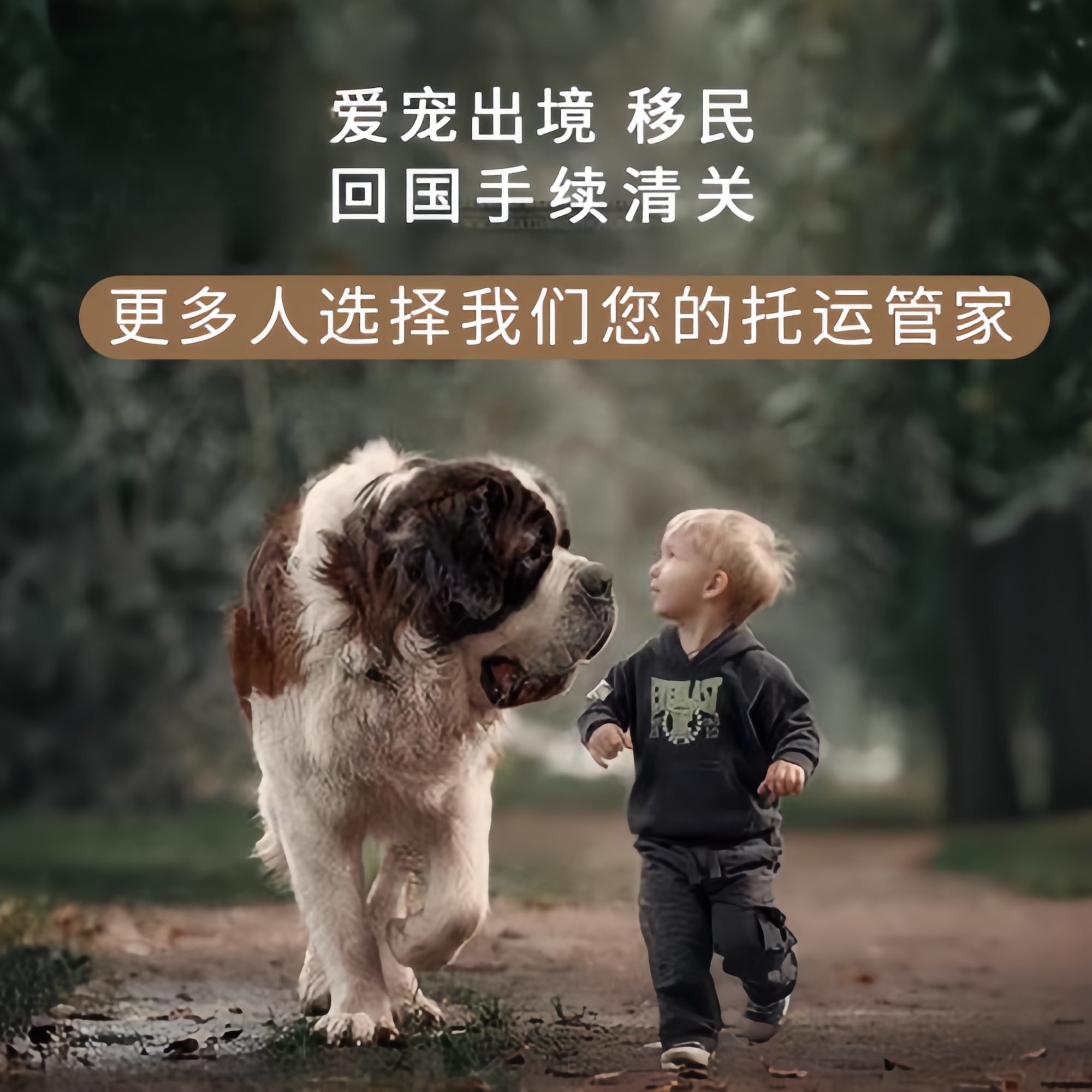 满财嘉义市宠物全球达宠物托运在遵守入境目的地政策的条件