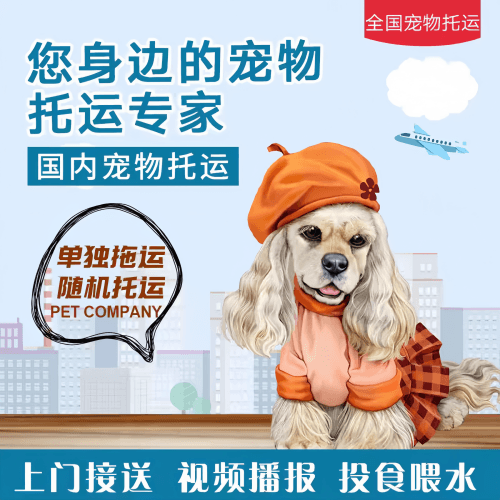 满财嘉义市宠物全球达宠物托运作为专业的宠物运输代理机构